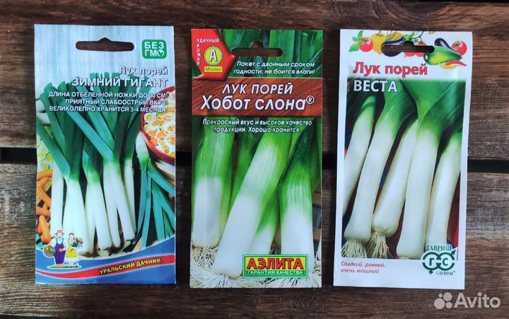 Семена лука