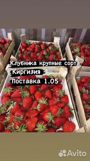 Клубника
