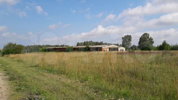 Производственное помещение с землей