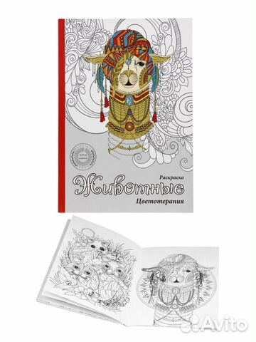 Прописи для дошкольников 6 +.Семь гномов