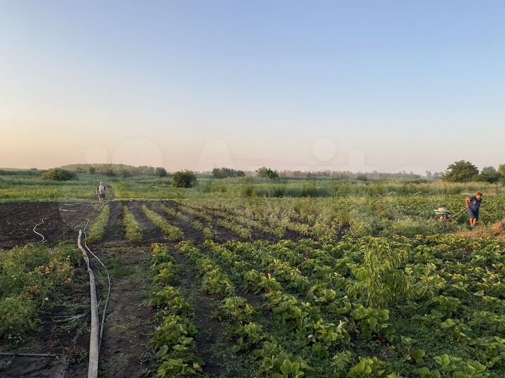 Участок 90 сот. (ИЖС)