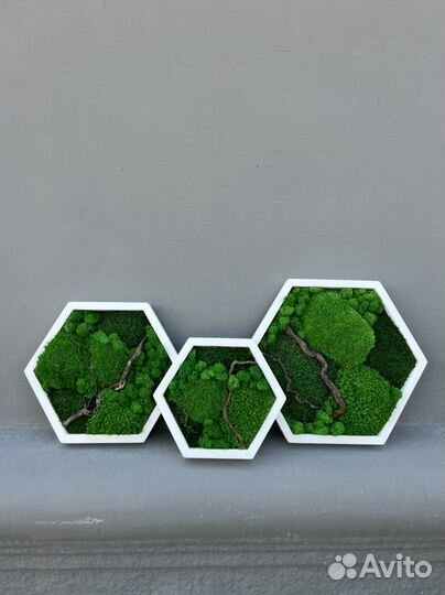 Панно-соты из стабилизированного мха