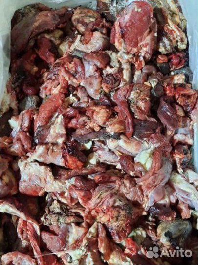 Мясо для собак