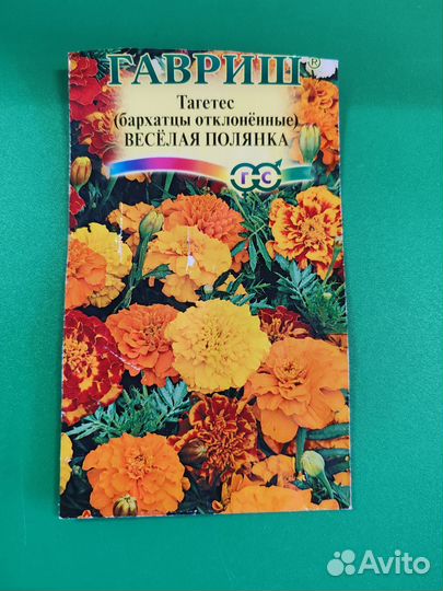 Рассада бархатцев