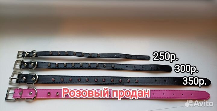 Ошейники для кошек и собак