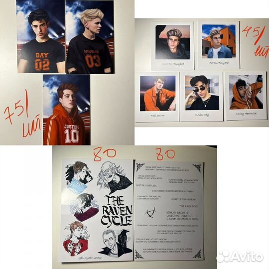 Мерч Лисья Нора / Воронята