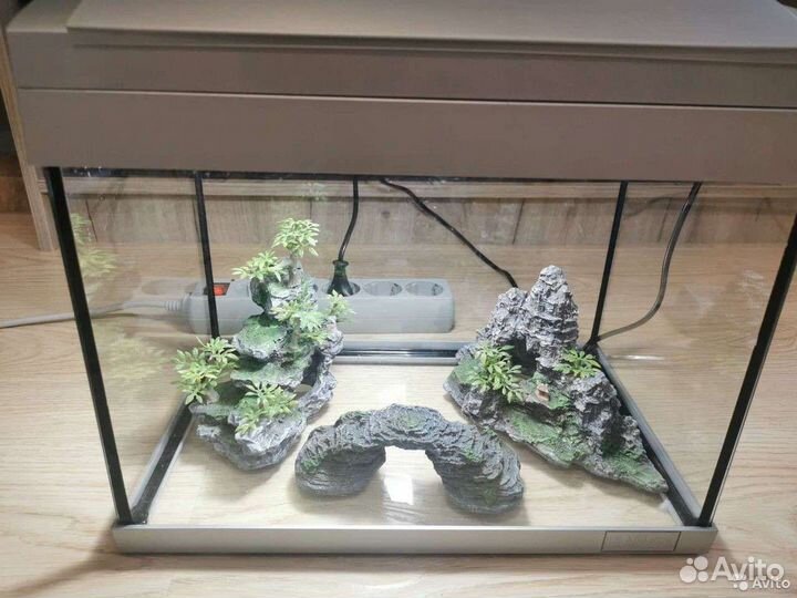 Аквариум