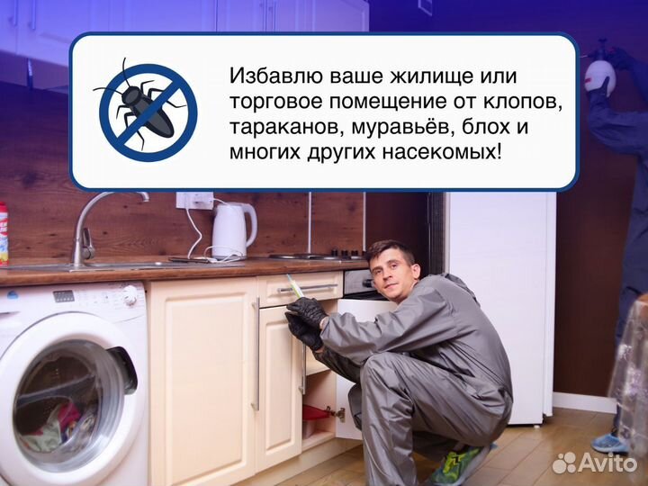 Дезинсекция дома и квартиры от тараканов и клопов