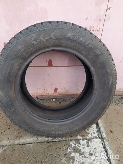 Advanta TRG-750 185/65 R14