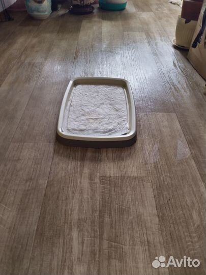 Лоток для животных