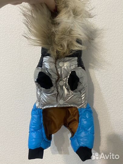 Одежда для собак и кошек