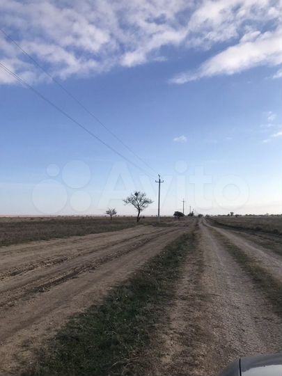 Участок 100 сот. (СНТ, ДНП)