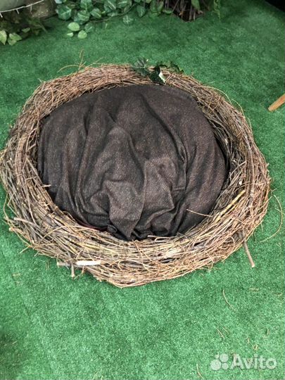 Гнездо для фотосессии