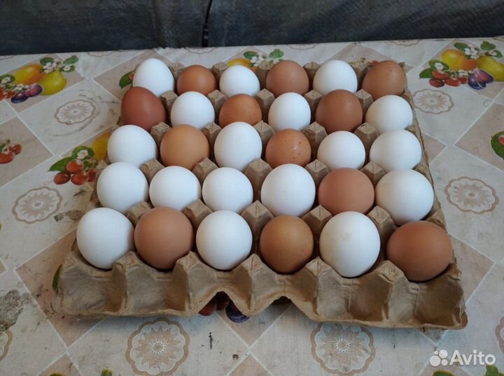 Яйцо куриное