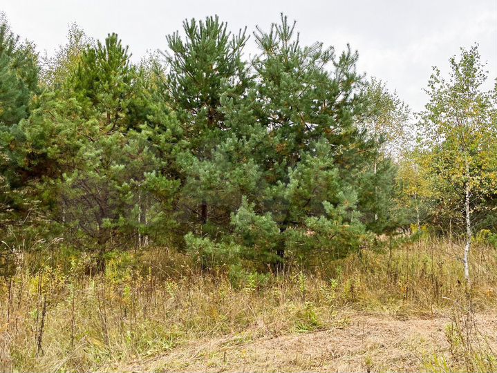 Участок 35 сот. (ИЖС)