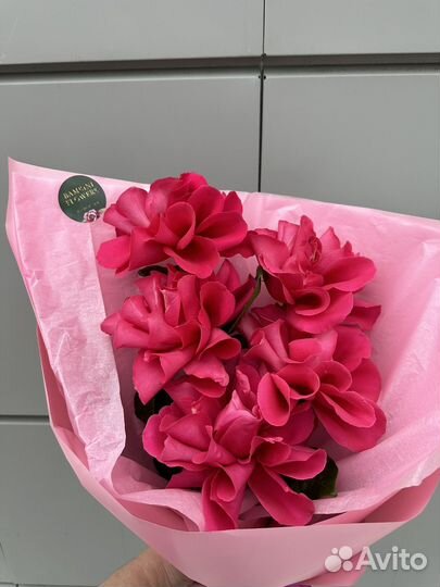 Букет французский роз