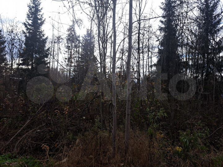 Участок 6 сот. (СНТ, ДНП)