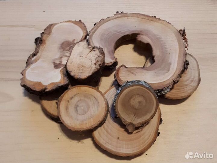 Срезы дерева для творчества