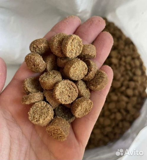 Корм для собак средних и крупных пород