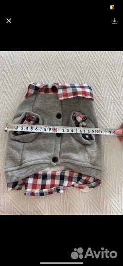 Одежда для собак кошек