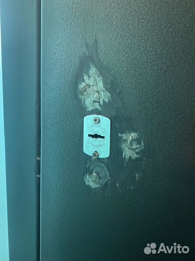 Дверь металлическая