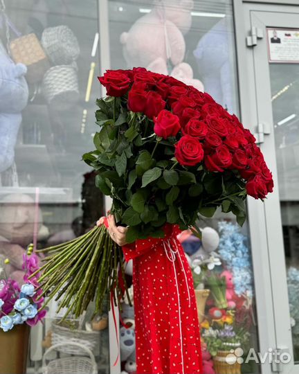 101 роза (70 см)