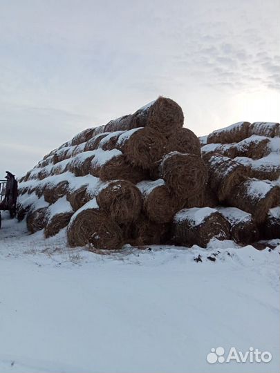 Сено солома в тюках,овёс бункерный