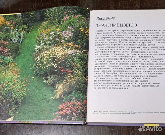 Цветы в вашем саду книга