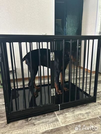 Клетка для собак от производителя