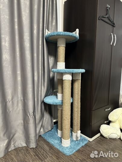 Когтеточка