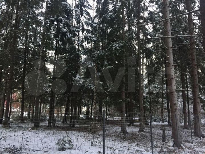 Участок 24 сот. (СНТ, ДНП)