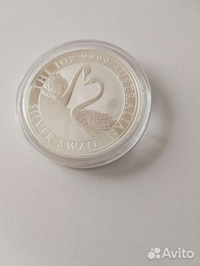 Лебедь 2022. Австралия. Серебро