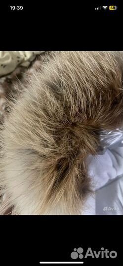 Зимний конверт в коляску