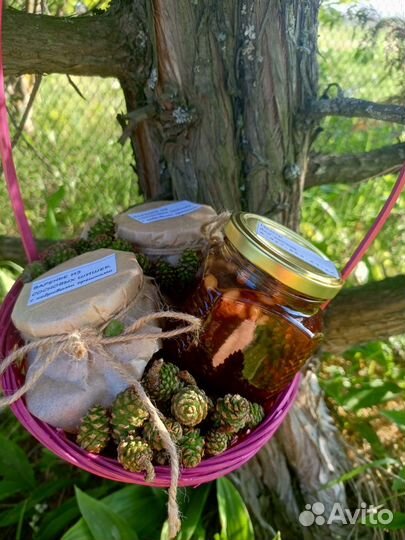 Варенье из сосновых шишек