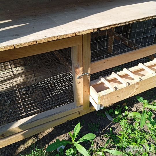 Клетки для кур