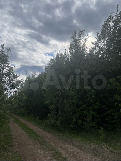 Участок 10 сот. (ИЖС)