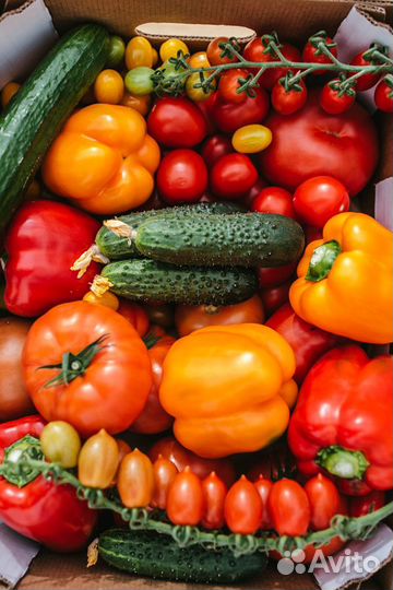 Парник из спандбонада 6м доставка