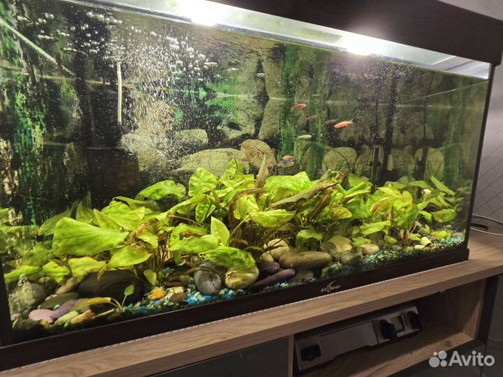 Аквариум на 150 литров