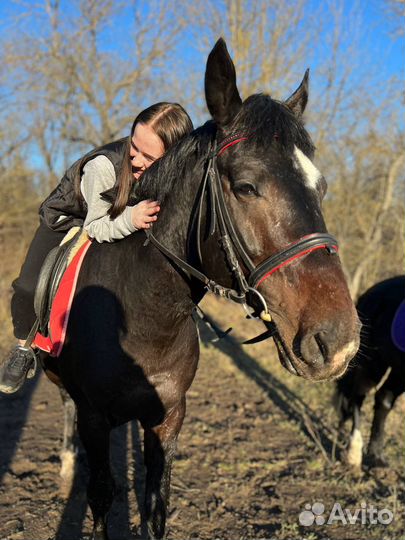 Конные прогулки