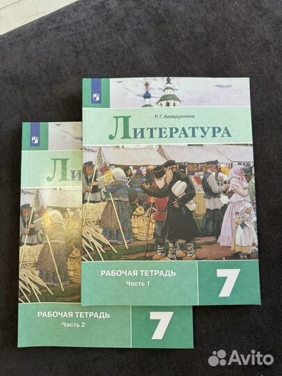 Литература рабочие тетради