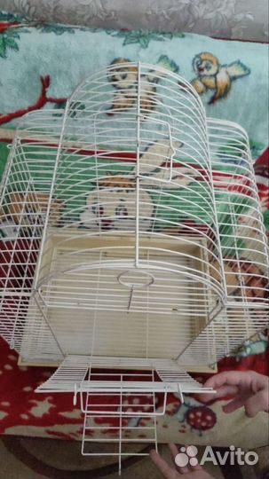 Клетка для попугая корелла