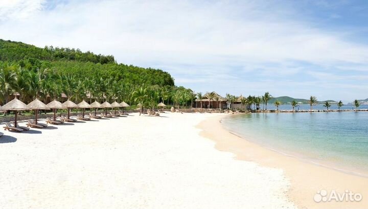 Вьетнам из новосибирска