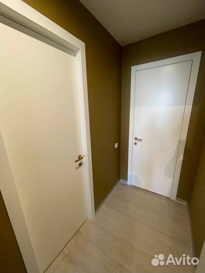 Скрытые двери / Двери под покраску из шпона