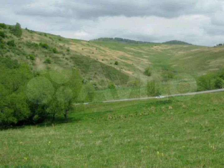 Участок 43,1 га (СНТ, ДНП)