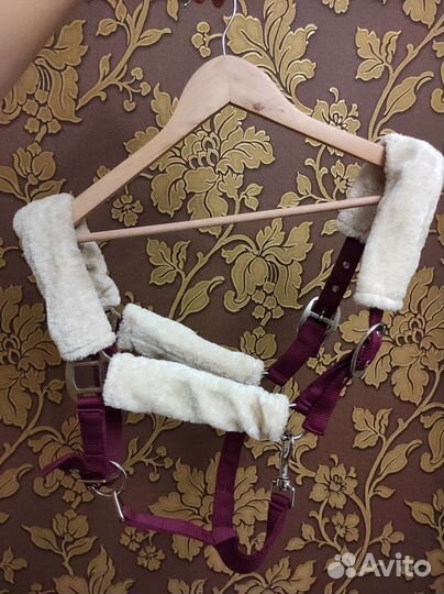 Недоуздок для лошади