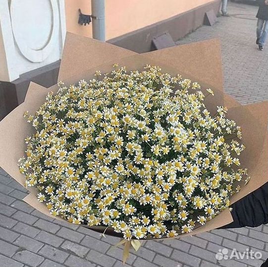 Ромашки букет