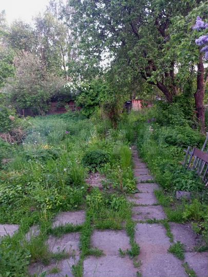 Дом 38,2 м² на участке 3 сот.