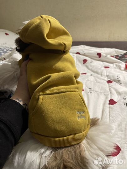 Худи для мелких собачек