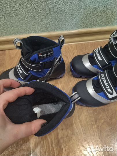 Лыжные ботинки spine