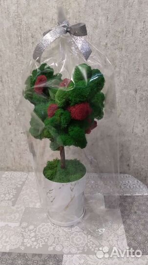 Дерево из стабилизированного мха